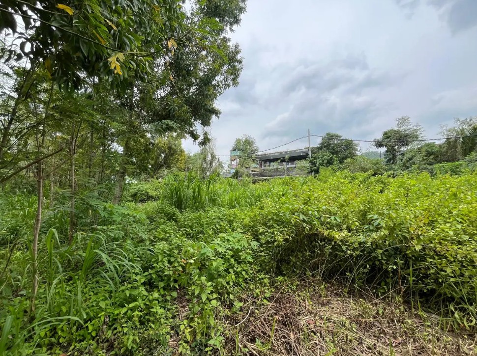 Galeri Lampiran